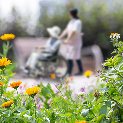 aid worker helping client in wheelchair | Independence Plus, Inc.